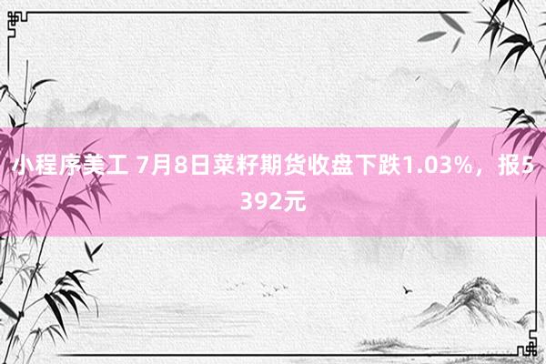 小程序美工 7月8日菜籽期货收盘下跌1.03%，报5392元