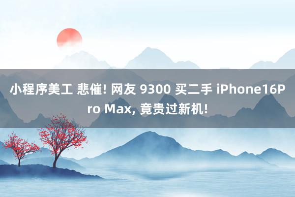 小程序美工 悲催! 网友 9300 买二手 iPhone16Pro Max, 竟贵过新机!